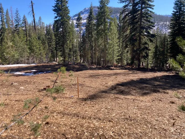 8715 Johnson Pass Rd, South Lake Tahoe, CA 96150