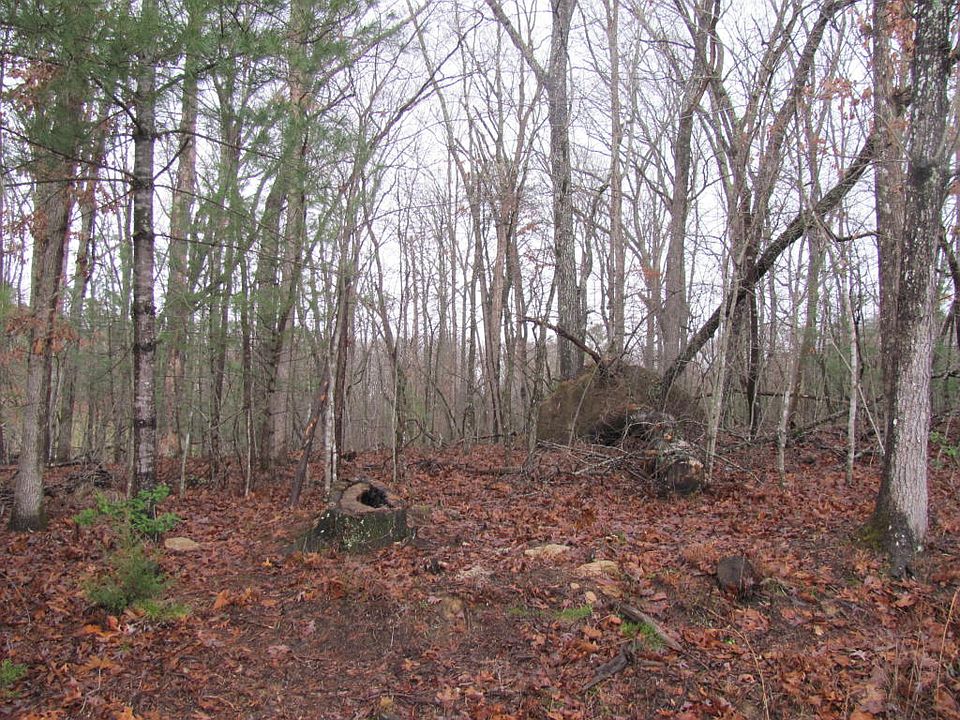 2nd image of 273 Forest Hill Dr