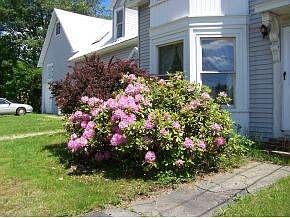 landscaping in place