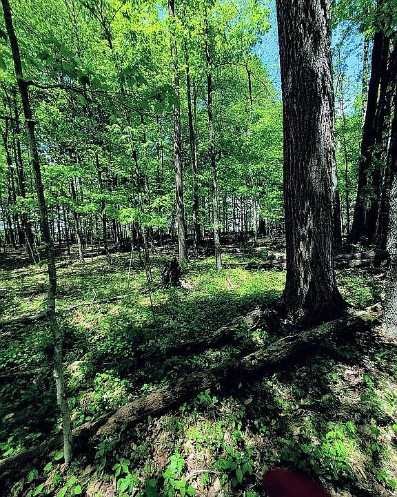 1st image of County Road 15 Bennett Wood #11