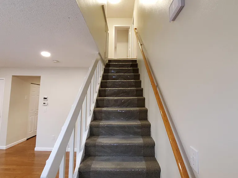 1003 Sycamore St — Photo 20