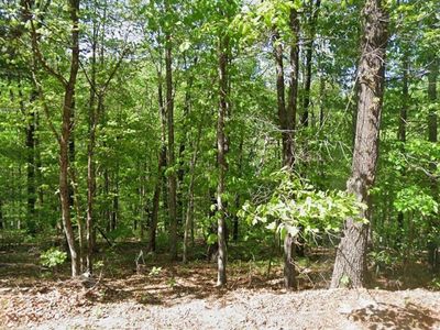 16-09756-000 Chelsea Ln, Bella Vista, AR, 72715