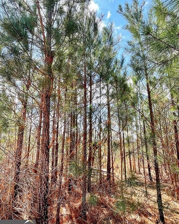 1st image of 0 Brinkley Rd