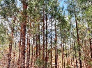 0 Brinkley Rd, Barnesville, GA 30204