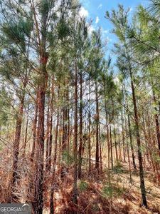 0 Brinkley Rd, Barnesville, GA, 30204