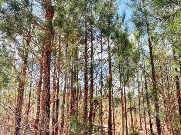 0 Brinkley Rd, Barnesville, GA 30204