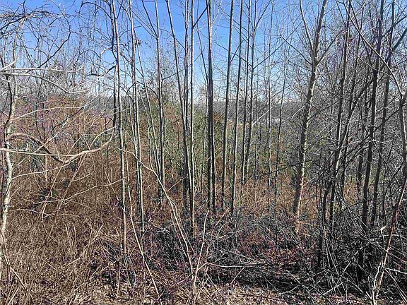 5th image of 3 David Brown Rd