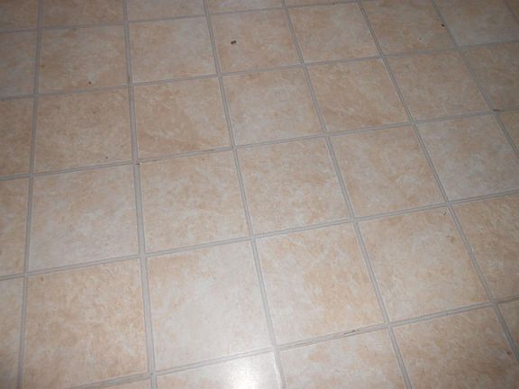 4th image of 1082 E College Ave