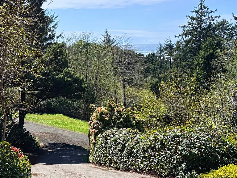 7205 SW Burl Dr — Photo 5