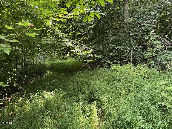 5th image of 171 Jack Green Rd