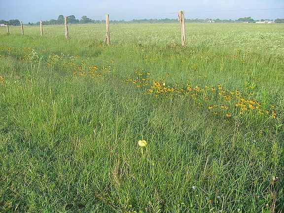 Property Fenceline
