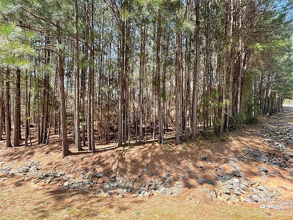 3rd image of LOT 232 Back Shore Dr