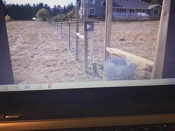 View looking west. 
Huge Evergreens line entire North border