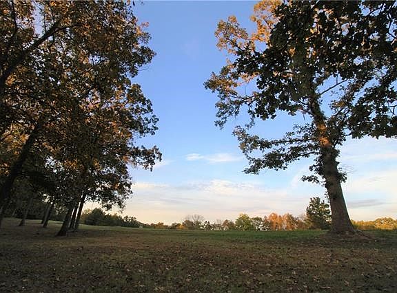 View from top of the property