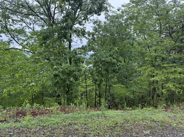 321 Oberlin Ct #321, Ranger, GA 30734