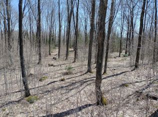 ON Thunder Stick Rd #138 ACRES, Glidden, WI 54527