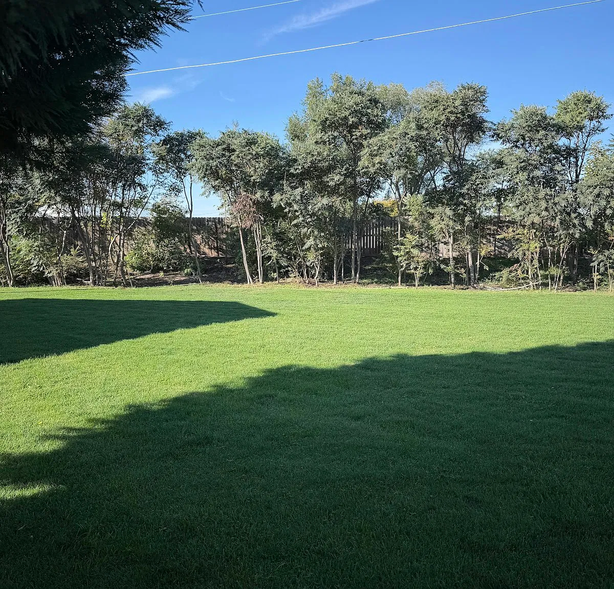 2405 North Alder Drive, Unit 2 — Photo 4