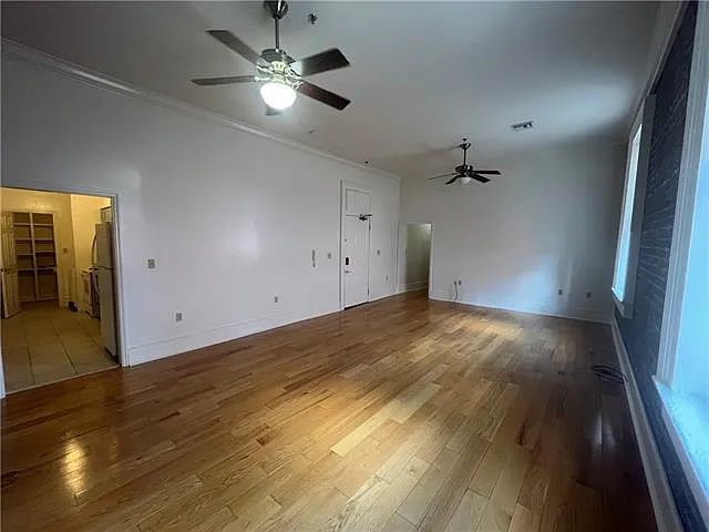 237 Dauphine St #7 — Photo 6