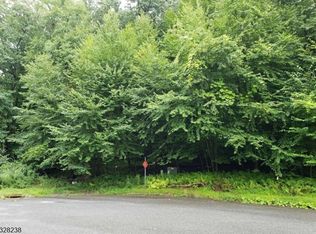 9 Settlers Ridge Ct, Port Murray, NJ 07865