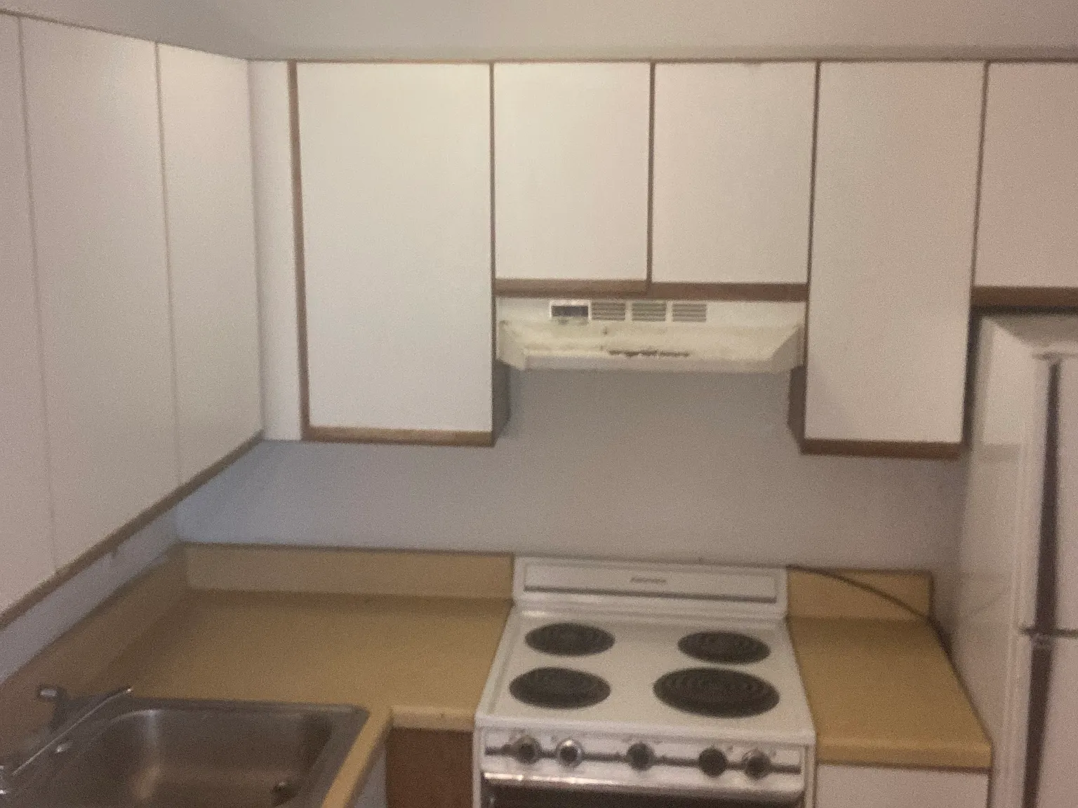 1 bed, 600 sqft, $850 — Photo 3