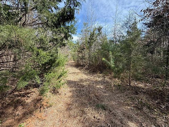 4th image of 0 County Road 2343 Cres #2339