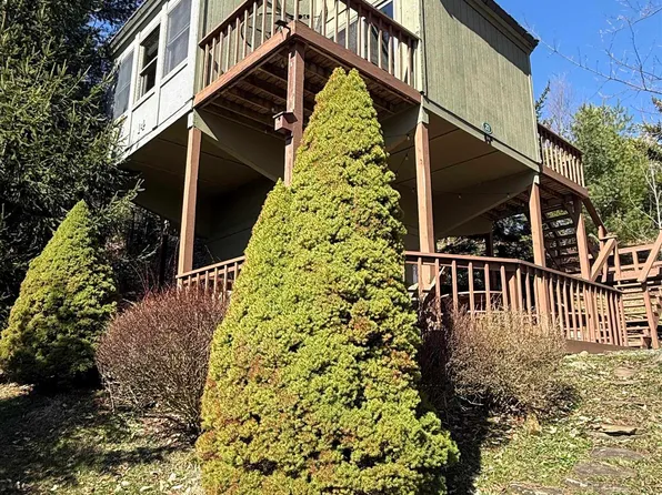 21 Bear Lair Ln, Davis, WV 26260