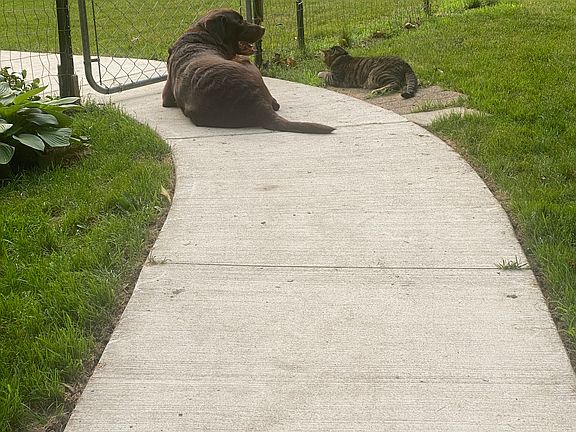 Hershey on the left and Prince on right