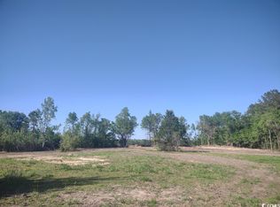 Mingo Chandler Rd, Nesmith, SC 29580