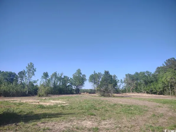TBD Mingo Chandler Rd., Nesmith, SC 29580