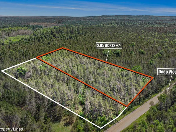 V/l 205a Deep Wood Rd, Roscommon, MI 48653