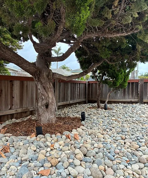 2028 Ayala St — Photo 4