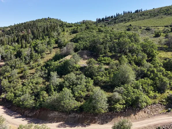 22045 N 143778 E, Fairview, UT 84629