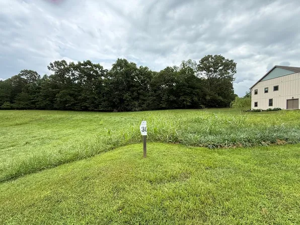 LOT 30 The Lndg, Blairsville, GA 30512