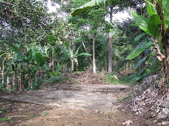 old foundation
