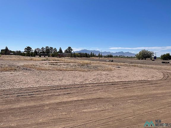 4th image of Mustang Trl SW