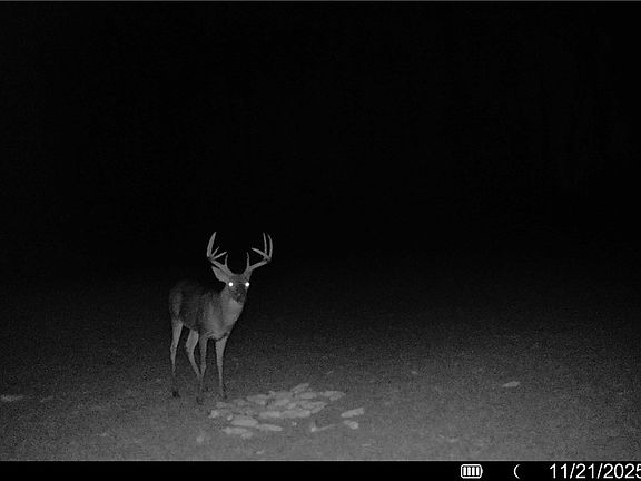 4th image of 1 Sarah Simpson Rd