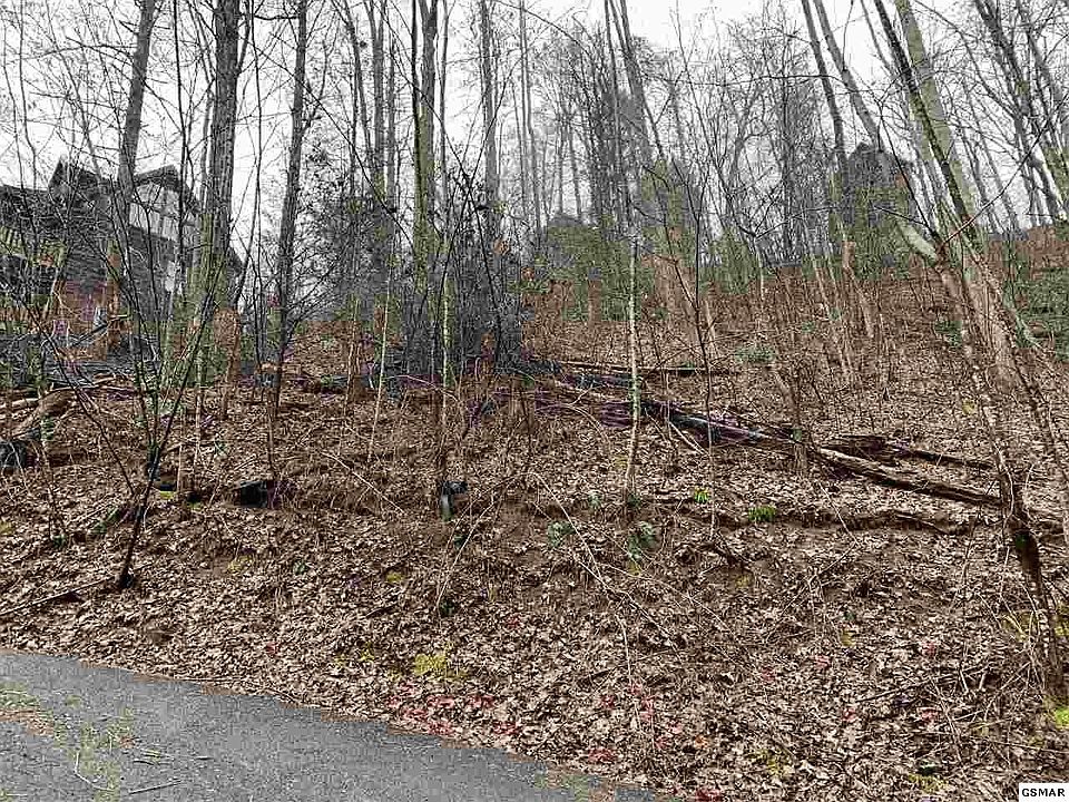 2nd image of 335 Lamons Loop Lot 335A