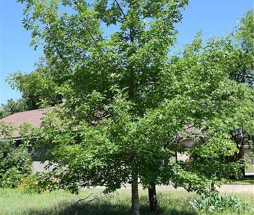 4th image of 706 Meadowcreek Dr