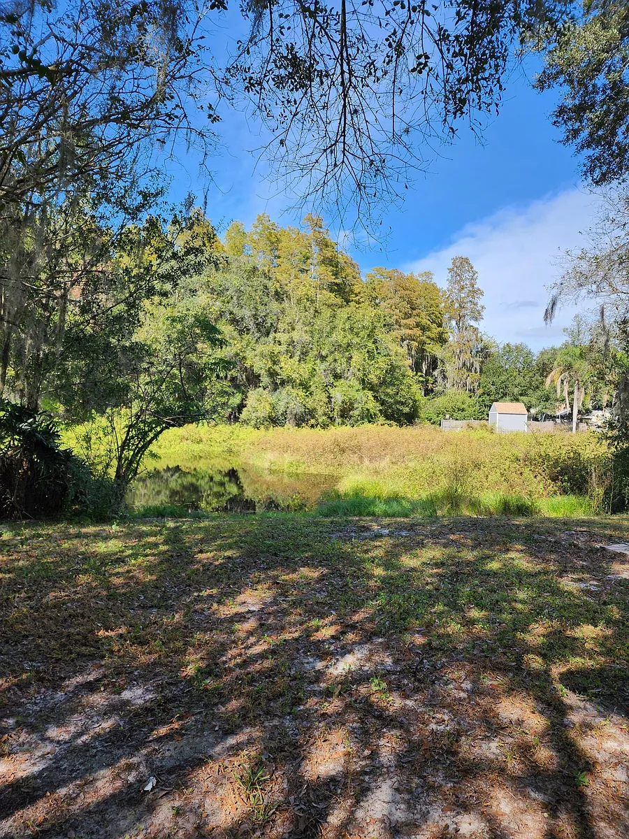 Building Photo - 12358 Witheridge Dr