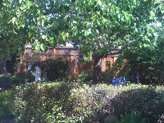 privacy in lush backyard