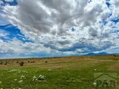 255 Colorado Land Livestock, Walsenburg, CO, 81089