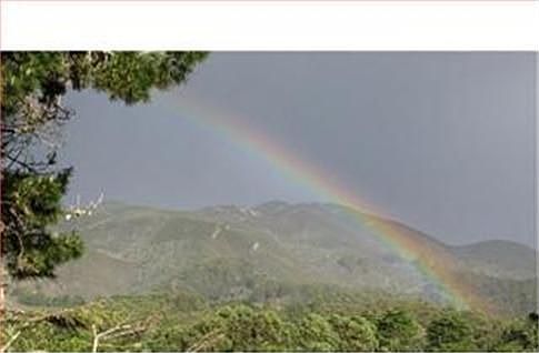 Beautiful Rainbow Graces the Sky