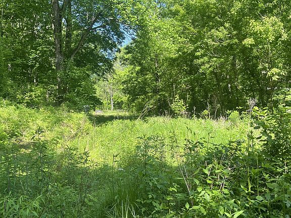 2nd image of 0 Hawkins Rd