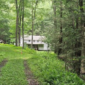 1992 Beaverdam Rd, Renovo, PA, 17764