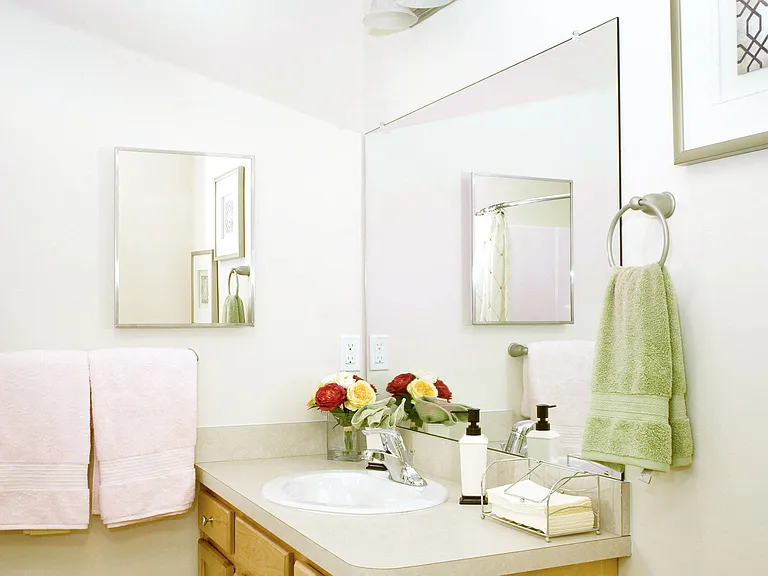 At Our Green Ash Trail Location, Apartments Have Standard Fixtures in Both Bathrooms