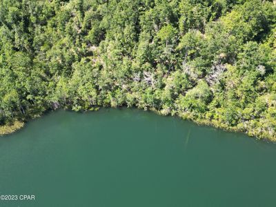 0 Honey Bee Ln, Marianna, FL, 32448