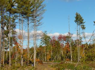 LOT 2 Pine Grove Rd LOT 2, Glenfield, NY 13343