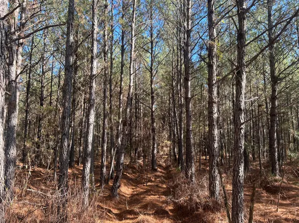 6 Red Oak Rd, Cottageville, SC 29435