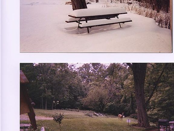 3rd image of 511 Fairbanks Ave