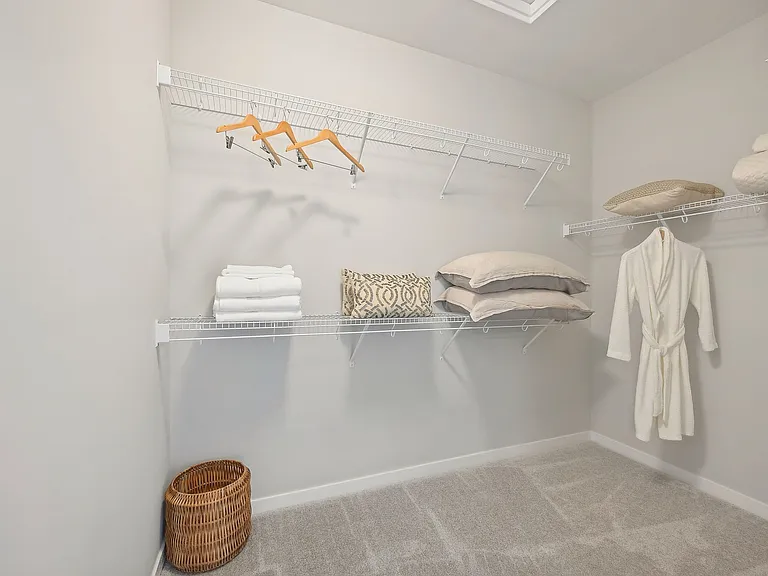 1 Bedroom | Primary Walk-in Closet